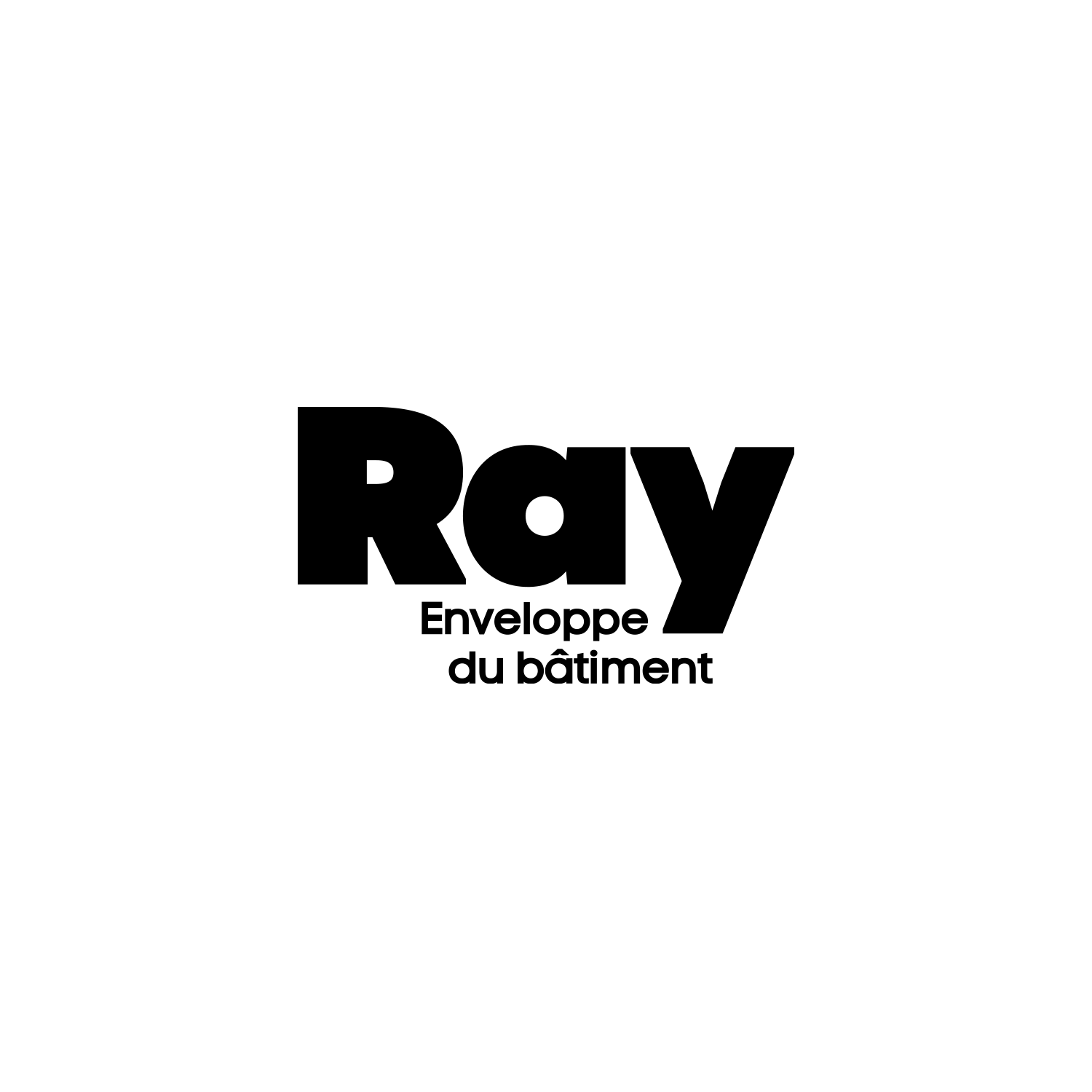 Ray noir