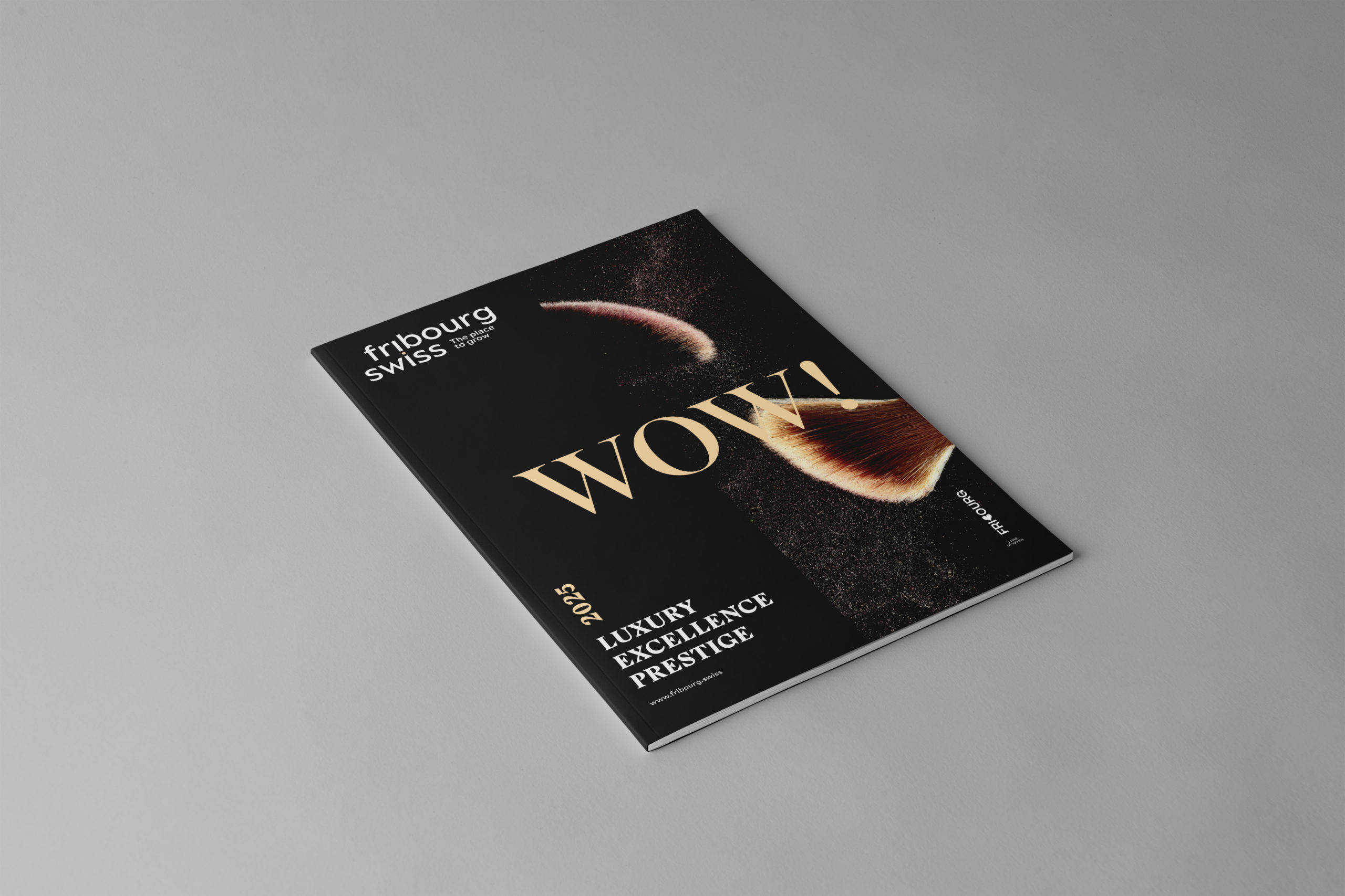 magazine_FNF