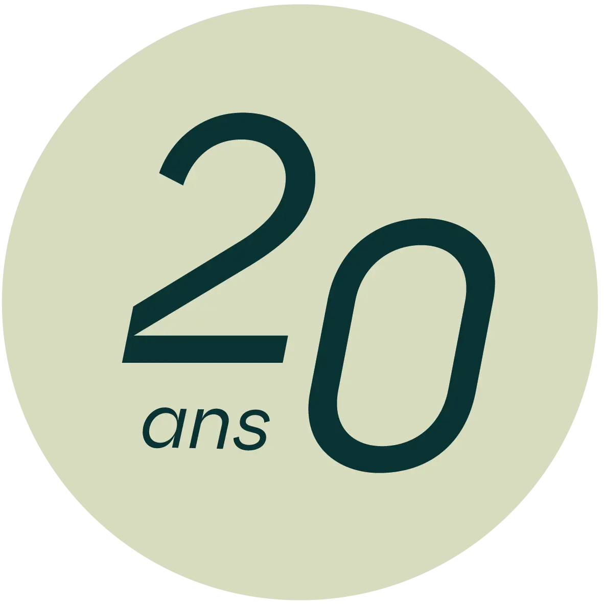 in-logo_20_ans